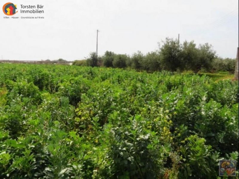 Makrigialos, Kreta, Makrigialos, Wunderschönes Grundstück mit Meerblick Grundstück kaufen